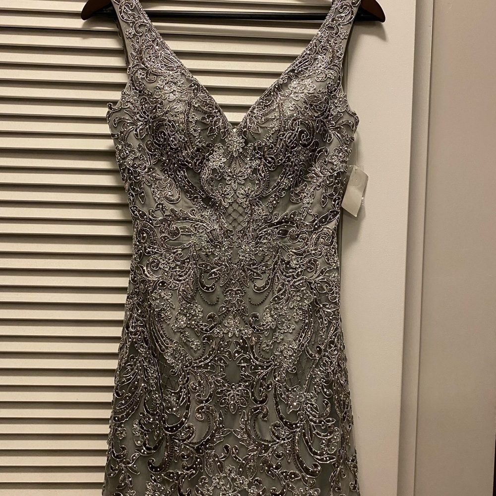 Elegant Silver Embellished Dress NWT